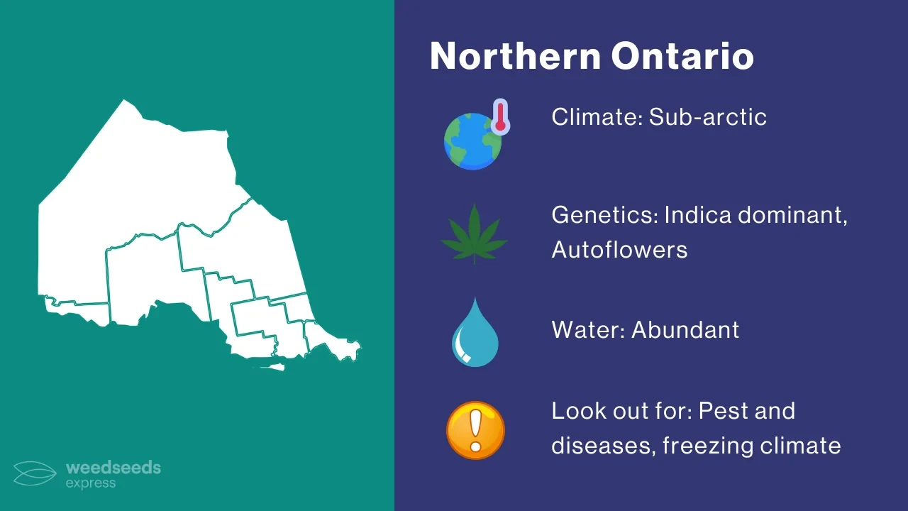 Cannabis Growing Climate in Northern Ontario